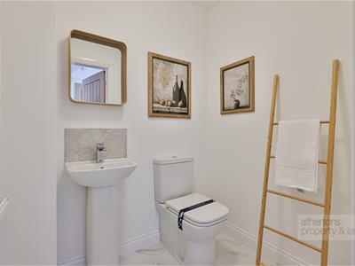 Picture 8
